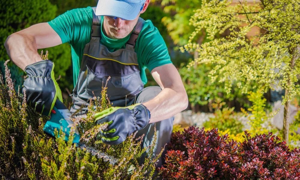 gardener-working-in-a-garden.jpg